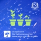 Preview: Anzucht Heizmatte Pflanzen Wärmematte Heizung Heizer zum Setzlingen Terrarium