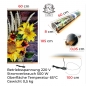 Mobile Preview: Infrarotheizung 500 Watt Bildheizung Heizbild Infrarot Bild Heizer Sonnenblumen