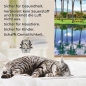 Mobile Preview: Infrarotheizung 500 Watt Bildheizung Heizbild Infrarot Bild Heizer das Kätzchen