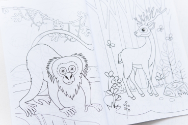 "Супер розмальовка  Тварини з усіх куточків світу" - Malbuch für Kinder "Super-Ausmalbuch - Tiere aus allen Ecken der Welt"