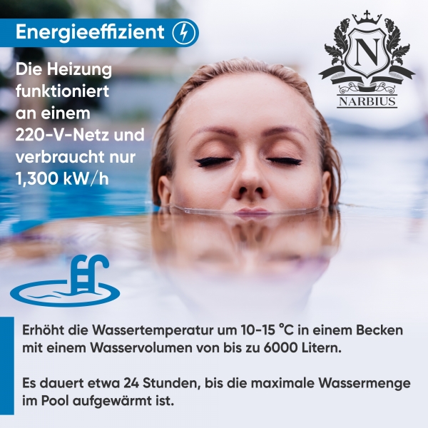 Pool Heizung Wasserheizung Schwimmbadheizung Heizer Wärmetauscher TeploMaxx 200
