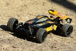 Ferngesteuertes Auto Kinder Spielzeug Geschenk RC Speed Buggy Shadow mit Akku